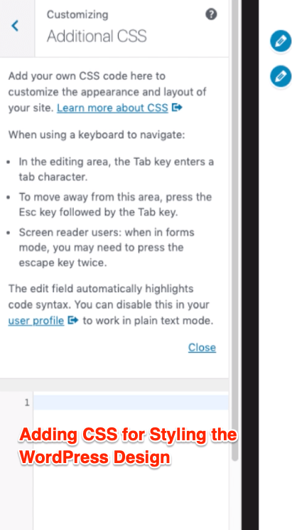 Additional CSS Styling in WordPress Customize Appearance