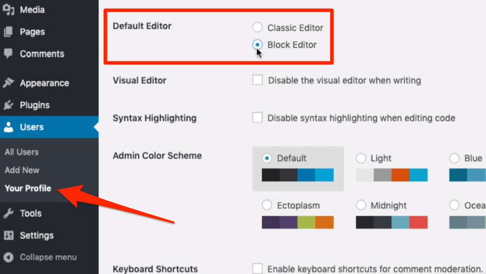Default Editor in WordPress Users Profile