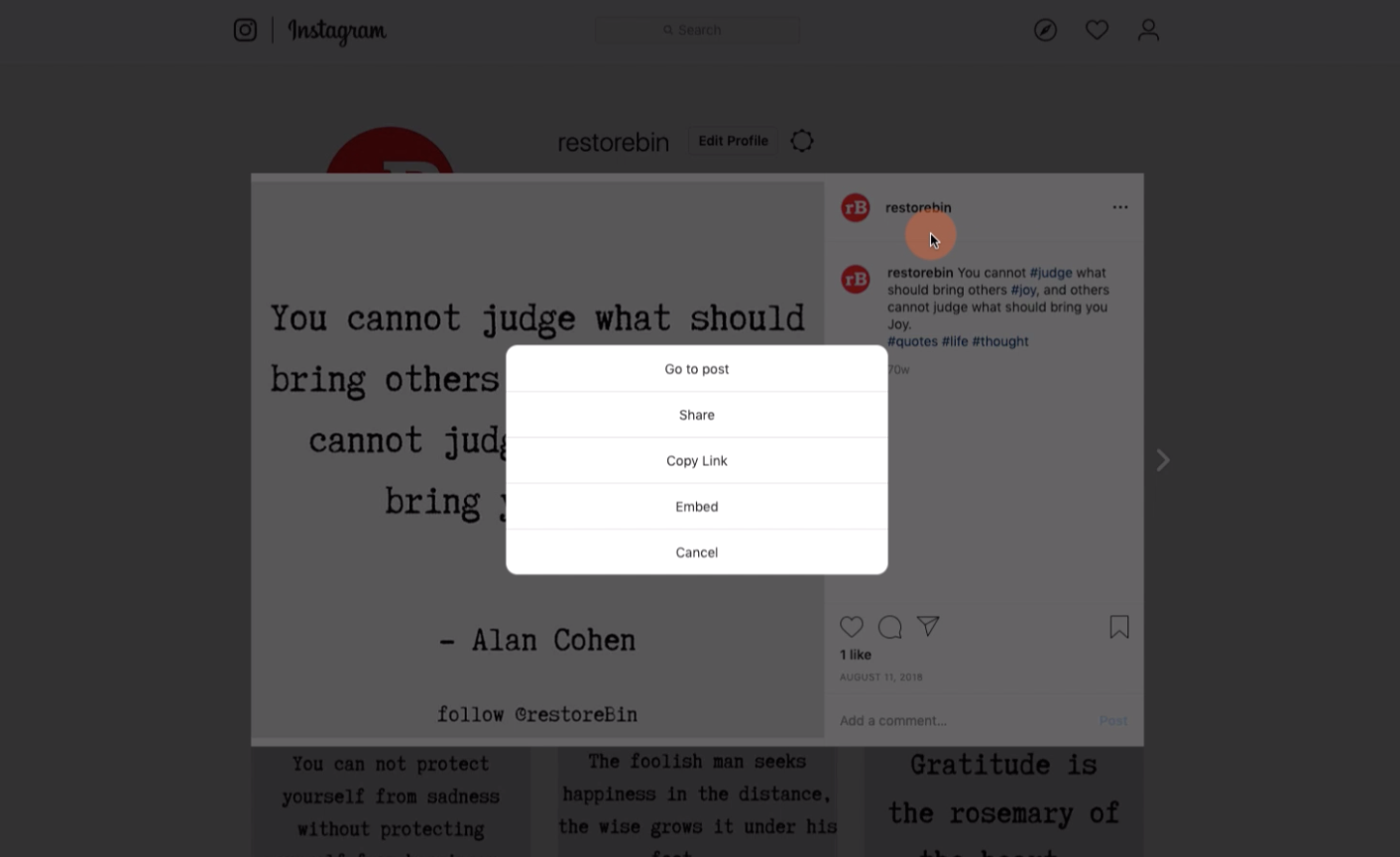 Instagram Post options in website without Delete command