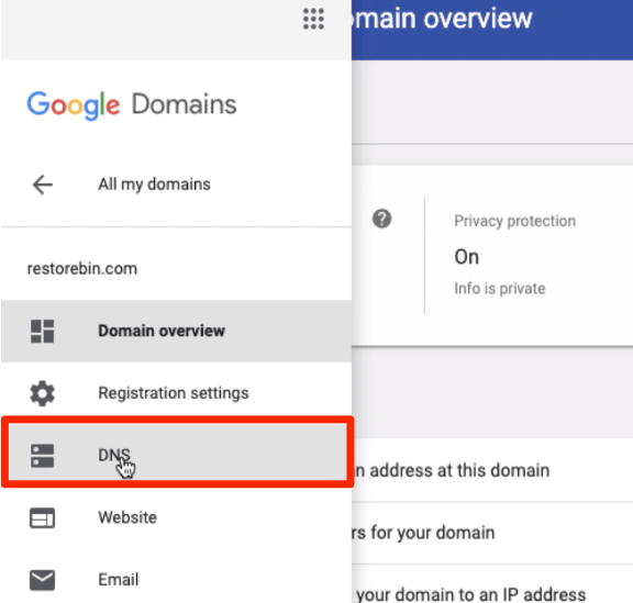 Open DNS Settings in Domain Registrar