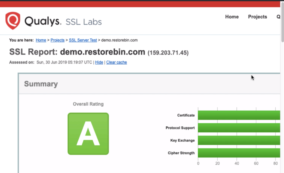 SSLLabs Test Report for domain