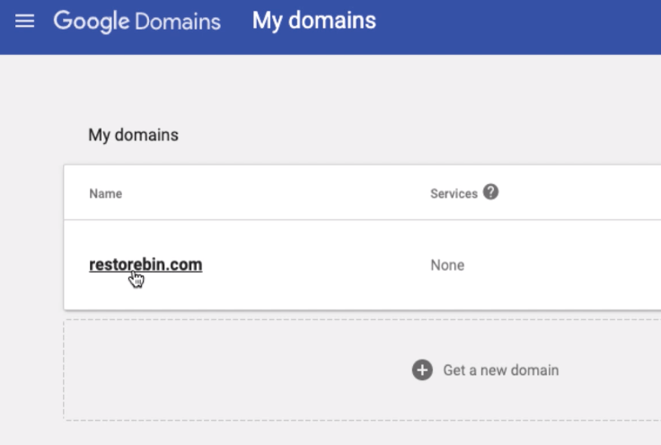 Select Domain Name in Google Domains