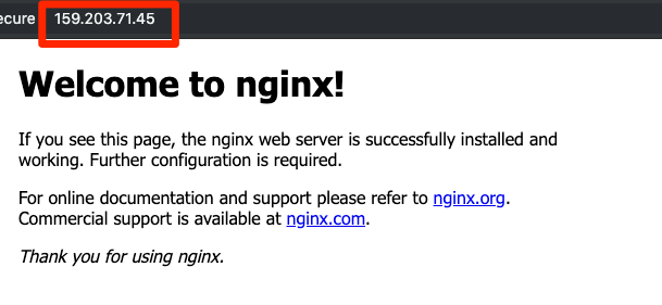 Welcome to nginx! message on IP Address