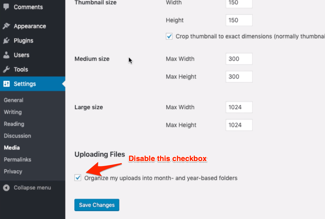 WordPress Media Settings Options