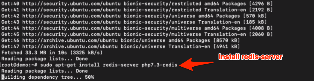 install redis sever and php7.3-fpm on Ubuntu