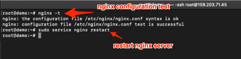 nginx configuration test and restart web server