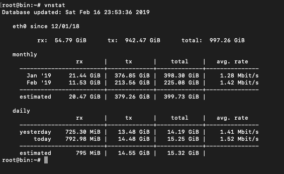 plain vnstat command in terminal output