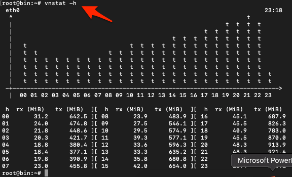 vnstat hourgraph plotting using -hour command option